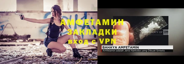 прущая мука Вяземский