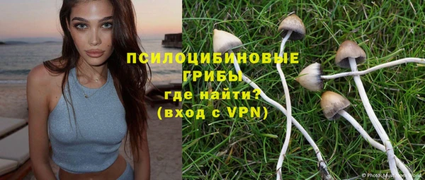 прущая мука Вяземский