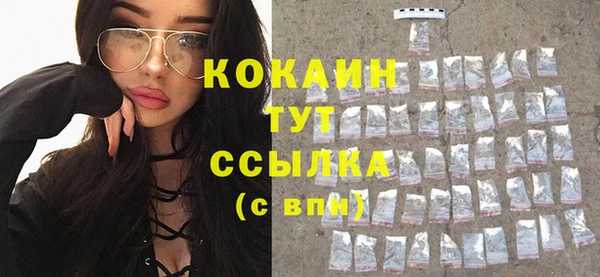 прущая мука Вяземский