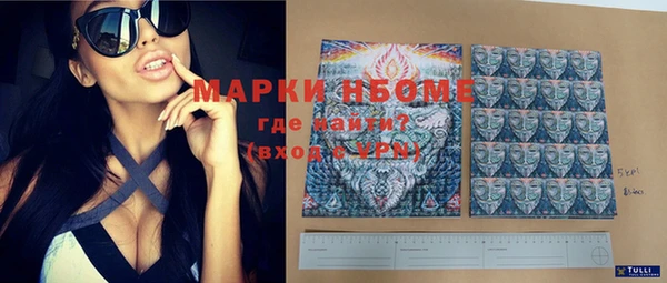 прущая мука Вяземский