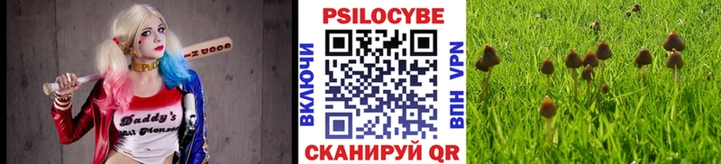 Галлюциногенные грибы ЛСД  Зея 